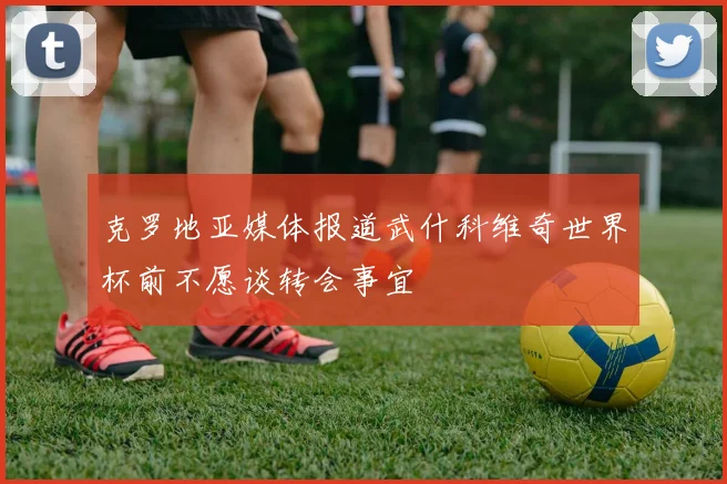克罗地亚媒体报道武什科维奇世界杯前不愿谈转会事宜